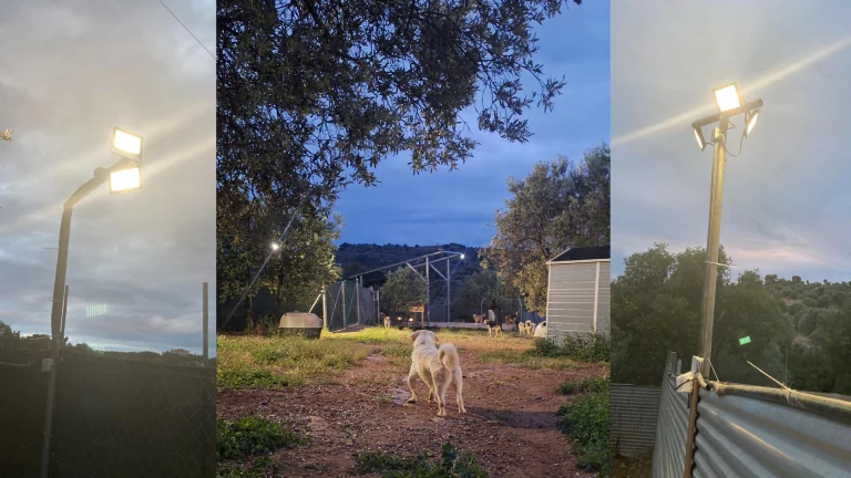 Die Bildcollage zeigt den erfolgreichen Abschluss eines Energieprojekts in einem Tierschutzprojekt in Griechenland. Zu sehen sind die Inbetriebnahme der neuen Stromversorgung, beleuchtete Hundegehege bei Nacht, gerettete Hunde im Tierheim und die Helfer vor Ort. Dank moderner LED-Beleuchtung, Solarenergie und LiFePO4-Batterien konnten Sicherheit, Sichtbarkeit und Arbeitsbedingungen nachhaltig verbessert werden. Das Projekt entstand durch die Zusammenarbeit von adVANturetimewithus, engagierten Helfern und technischer Unterstützung für den europäischen Tierschutz.