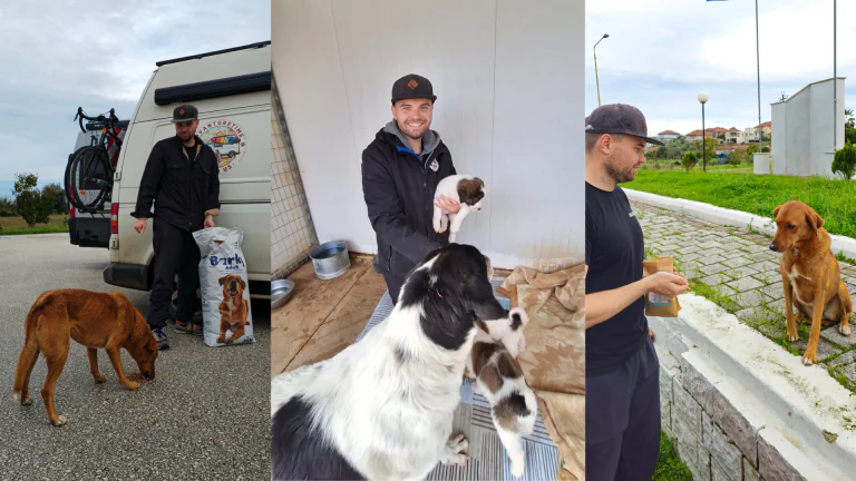 Chris unterstützt Straßenhunde in Griechenland mit Futter, Pflege und Tierschutzarbeit. Begegnungen mit geretteten Hunden während eines ehrenamtlichen Einsatzes von adVANturetimewithus.